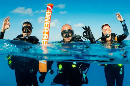 PADI Courses